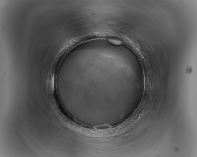 X0000100840019200806271123