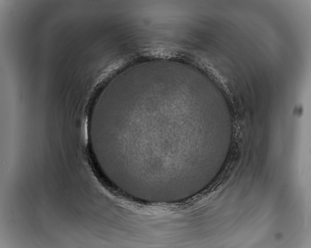 X0000100840020200806271123