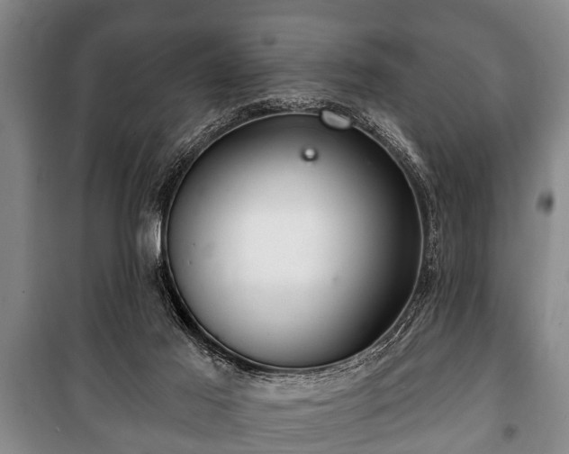 X0000100840021200806271123