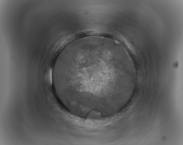 X0000100840022200806271123