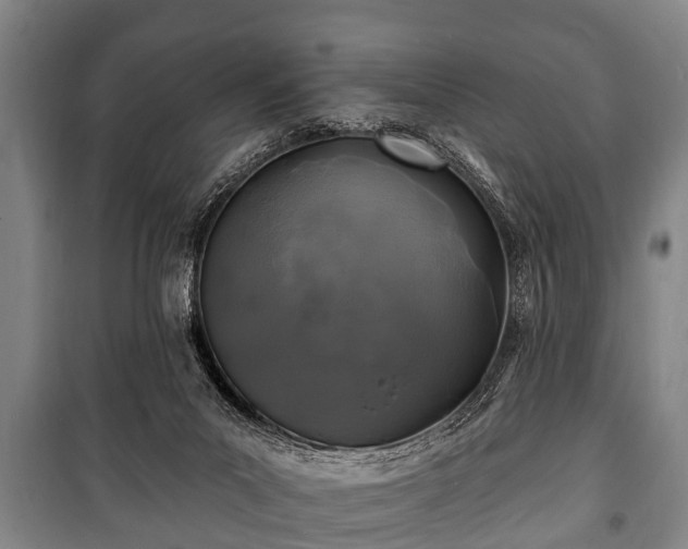 X0000100840023200806271123