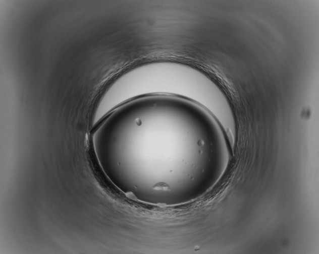 X0000100840024200806271123