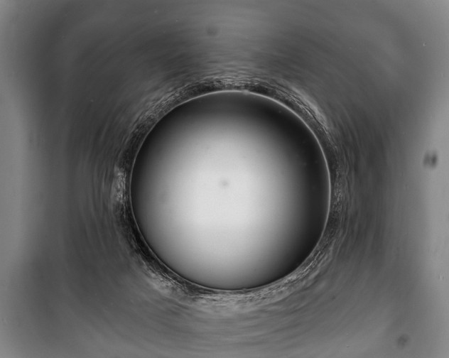 X0000100840025200806271123