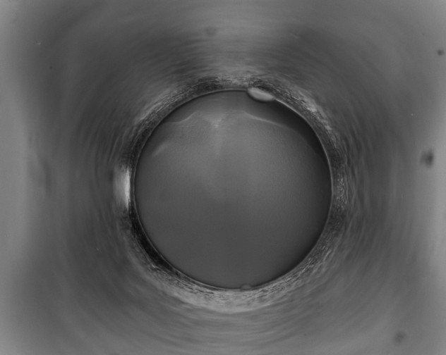 X0000100840027200806271123