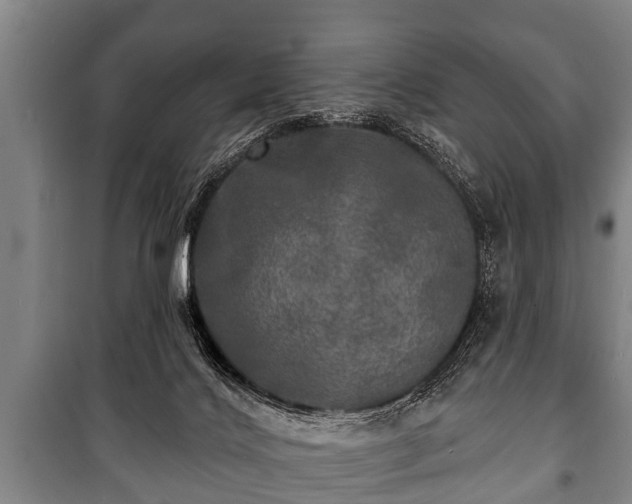 X0000100840028200806271123