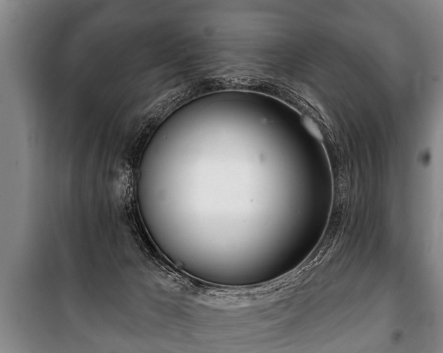 X0000100840029200806271123