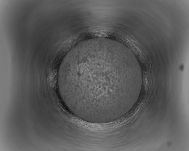 X0000100840030200806271123