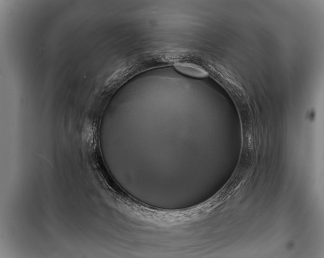 X0000100840031200806271123