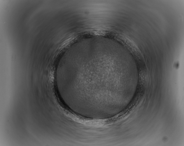 X0000100840032200806271123