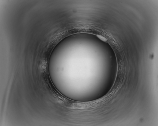 X0000100840033200806271123