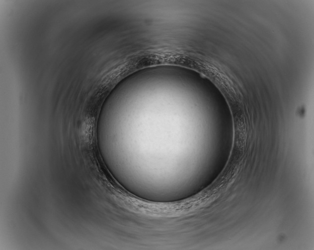 X0000100840034200806271123