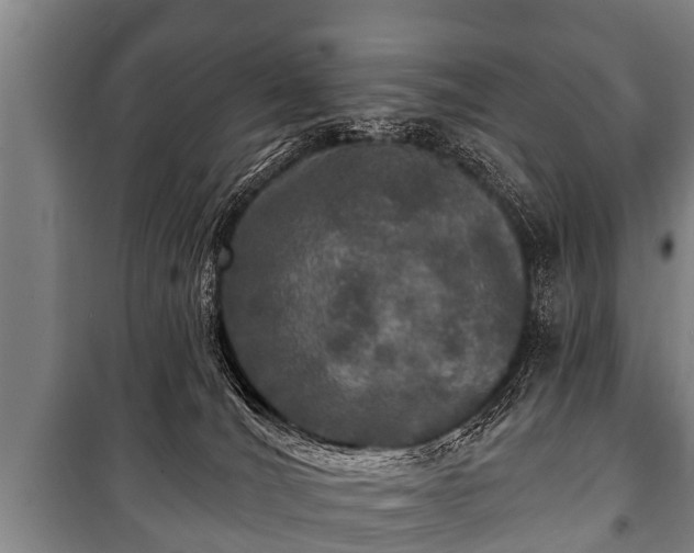 X0000100840036200806271123