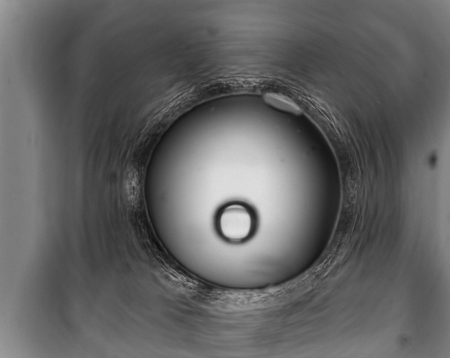 X0000100840037200806271123