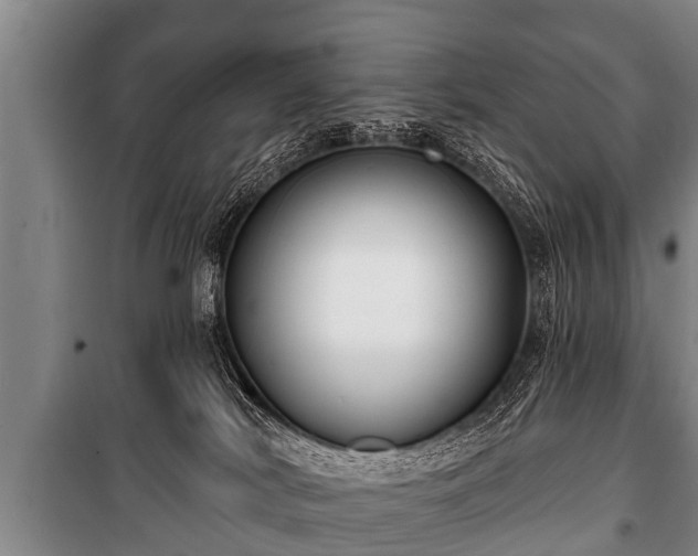 X0000100840038200806271123