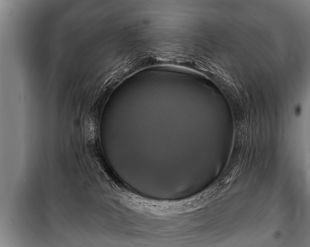 X0000100840039200806271123