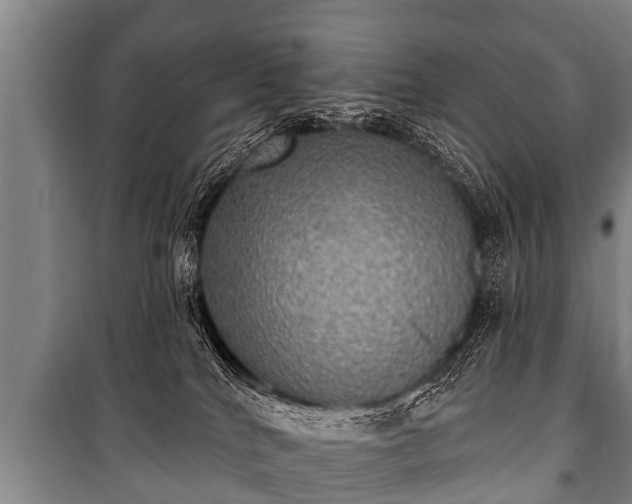 X0000100840040200806271123