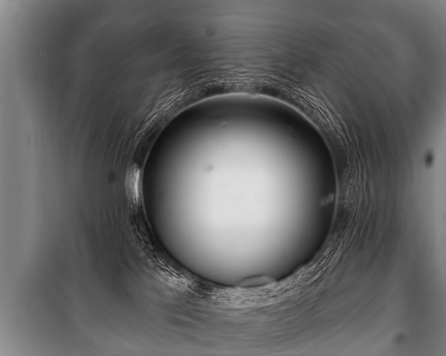 X0000100840041200806271123