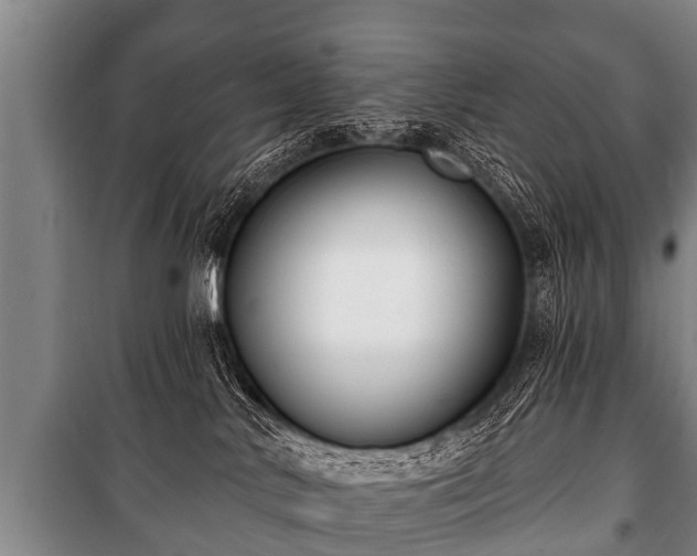 X0000100840042200806271123