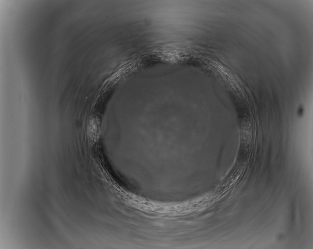 X0000100840043200806271123