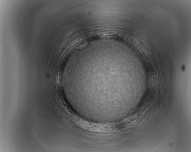 X0000100840044200806271123