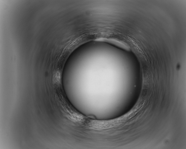 X0000100840045200806271123