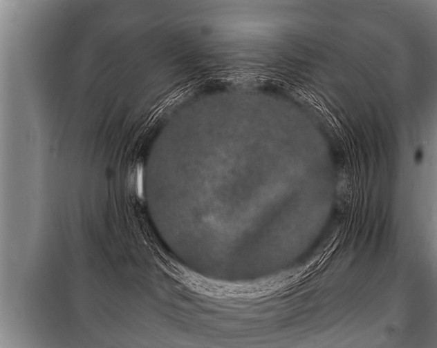 X0000100840046200806271123