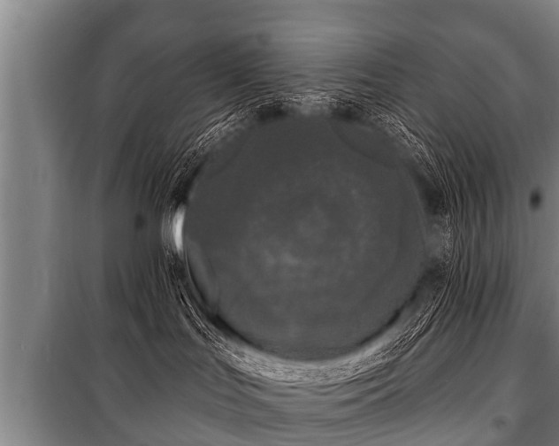 X0000100840047200806271123