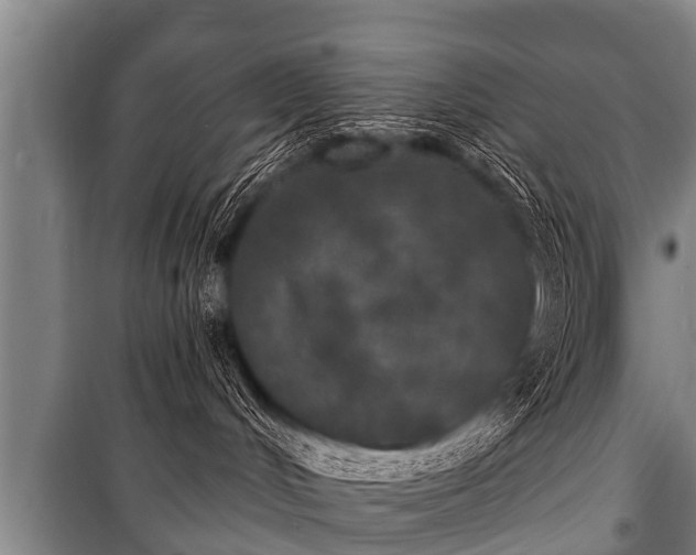 X0000100840048200806271123