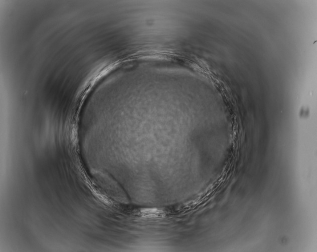 X0000100840050200806271122