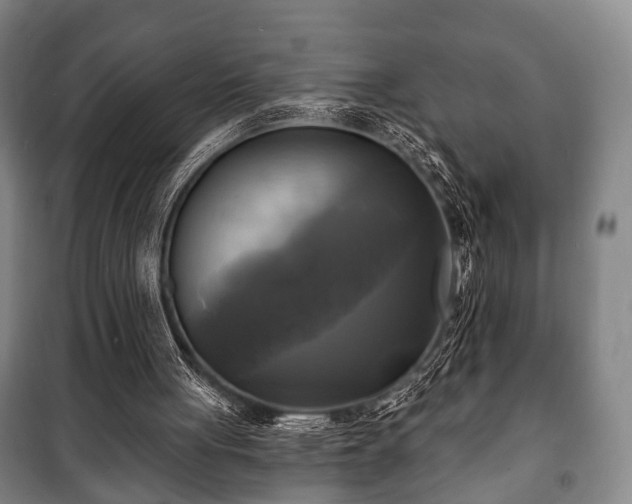 X0000100840051200806271122