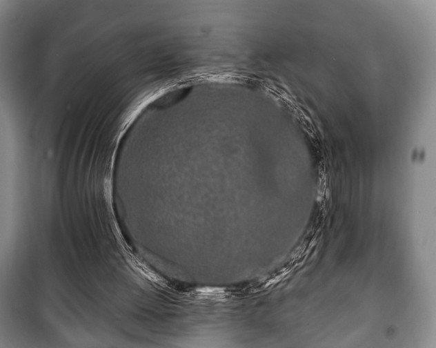 X0000100840052200806271122