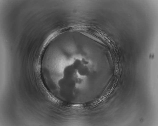 X0000100840053200806271122