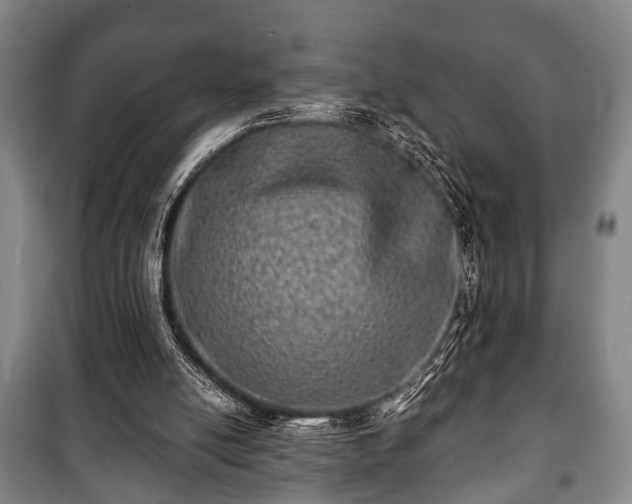 X0000100840054200806271122