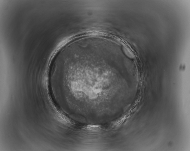 X0000100840055200806271122