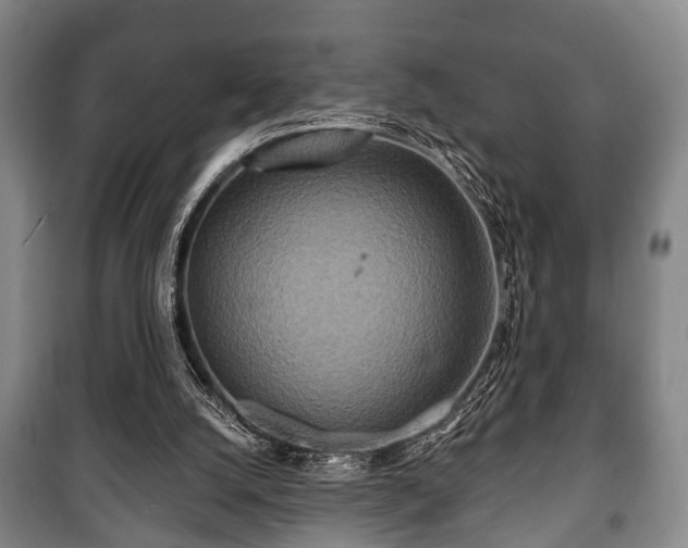 X0000100840056200806271122