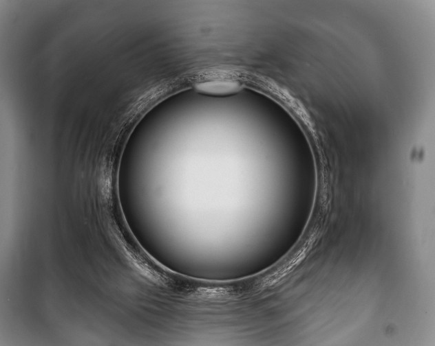 X0000100840057200806271122