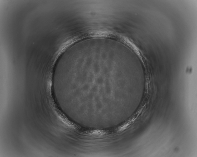 X0000100840059200806271122