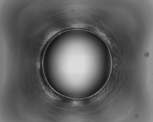 X0000100840060200806271122