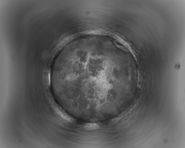 X0000100840061200806271122