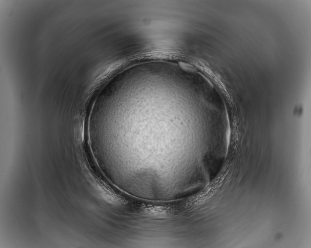 X0000100840062200806271122