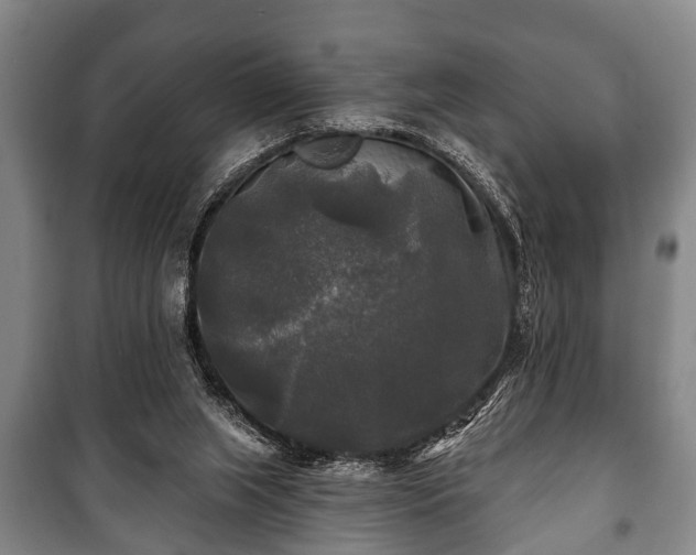 X0000100840063200806271122