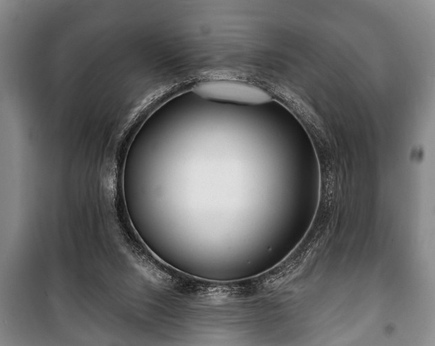 X0000100840064200806271122