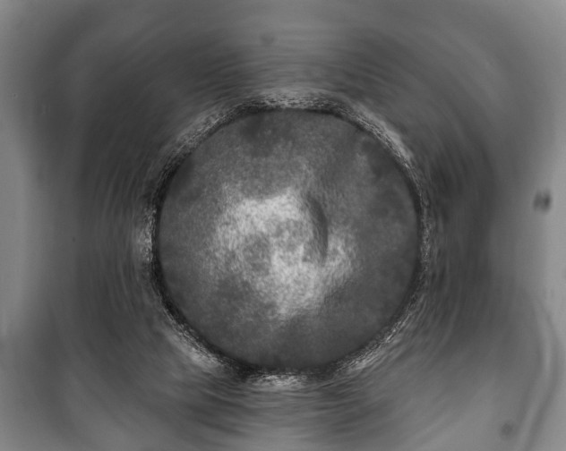 X0000100840065200806271122