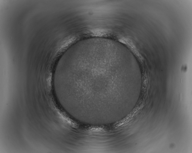 X0000100840066200806271122