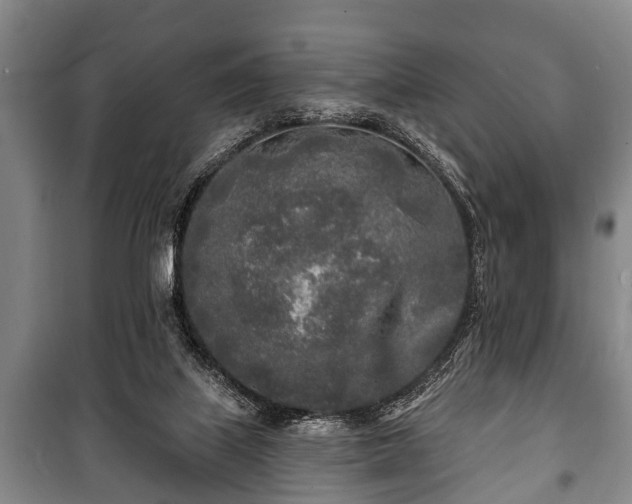 X0000100840067200806271122