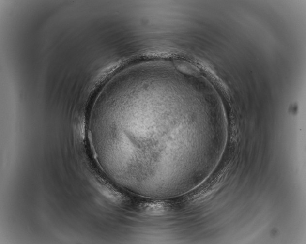 X0000100840068200806271122