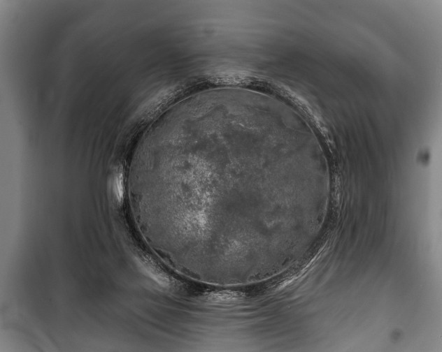 X0000100840069200806271122