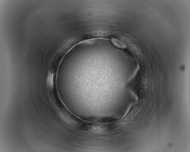 X0000100840070200806271122