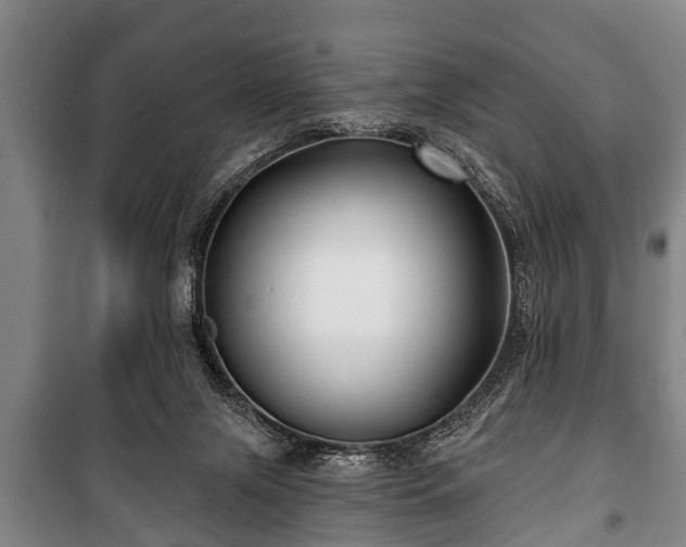 X0000100840071200806271122