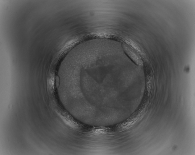 X0000100840072200806271122